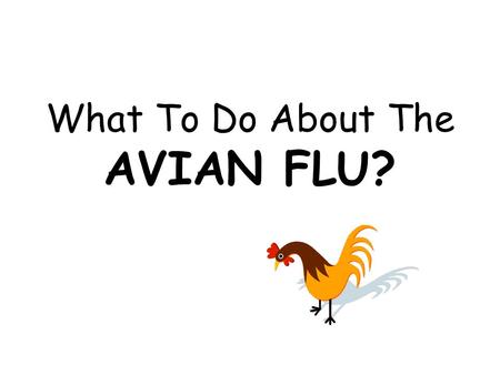 What To Do About The AVIAN FLU?. The Avian Flu? Is That Like a Cold? NO! The Avian Flu, according to the World Health Organization, is a large group of.