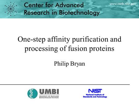 One-step affinity purification and processing of fusion proteins Philip Bryan.