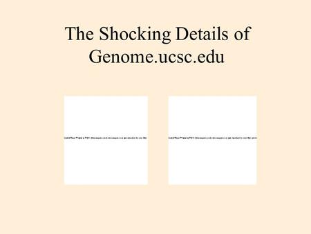 The Shocking Details of Genome.ucsc.edu. History of the Code Started in 1999 in C after Java proved hopelessly unportable across browsers. Early modules.