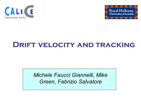 Drift velocity and tracking Michele Faucci Giannelli, Mike Green, Fabrizio Salvatore.