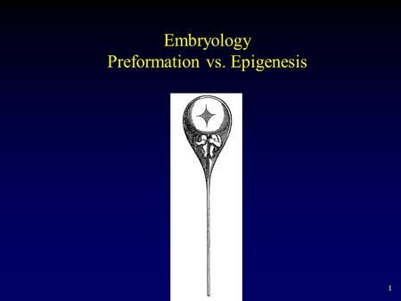 1 Embryology Preformation vs. Epigenesis. 2 Gametogenesis & Fertilization Nuclei fusion Syngamy - fusion of sperm nucleus with egg nucleus to form the.