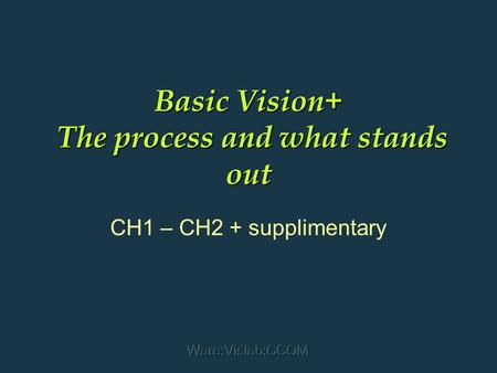 Ware:Vislab:CCOM Basic Vision+ The process and what stands out CH1 – CH2 + supplimentary.