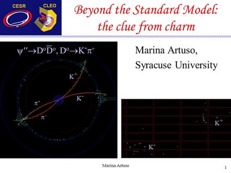 Marina Artuso 1 Beyond the Standard Model: the clue from charm Marina Artuso, Syracuse University  D o D o, D o  K -  + K-K- K+K+ ++  K-K-