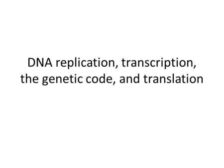 DNA replication, transcription, the genetic code, and translation.