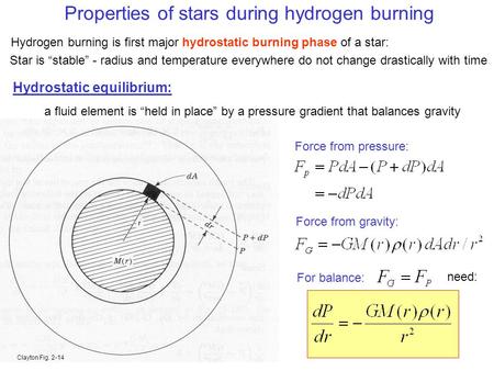 Properties of stars during hydrogen burning Hydrogen burning is first major hydrostatic burning phase of a star: Hydrostatic equilibrium: a fluid element.