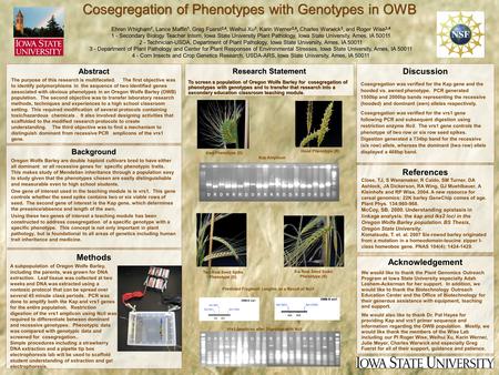 Cosegregation of Phenotypes with Genotypes in OWB Abstract The purpose of this research is multifaceted. The first objective was to identify polymorphisms.