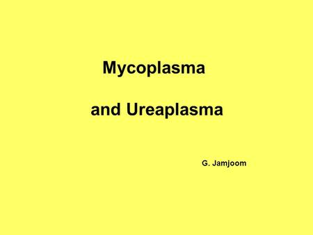 Mycoplasma and Ureaplasma G. Jamjoom. Mollicutes Five families – 200 species 16 species colonize humans 5 species associated with human disease.
