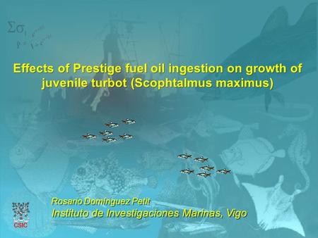 Effects of Prestige fuel oil ingestion on growth of juvenile turbot (Scophtalmus maximus) Rosario Domínguez Petit Instituto de Investigaciones Marinas,