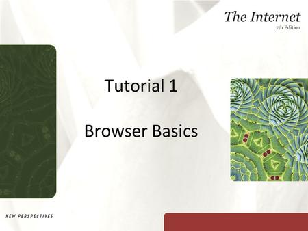 Tutorial 1 Browser Basics. XP Objectives Learn about the Internet and the World Wide Web Learn how Web browser software displays Web pages Learn how Web.