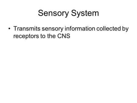 Sensory System Transmits sensory information collected by receptors to the CNS.