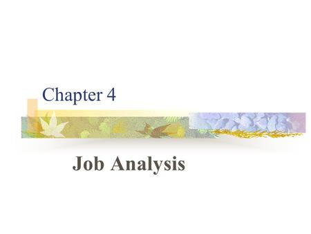 Chapter 4 Job Analysis.