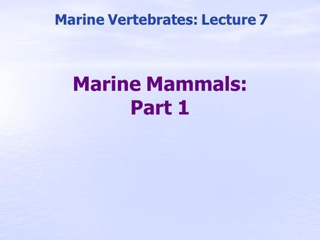 Marine Mammals: Part 1 Marine Vertebrates: Lecture 7.