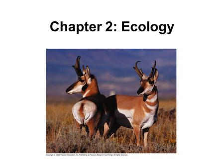Chapter 2: Ecology.