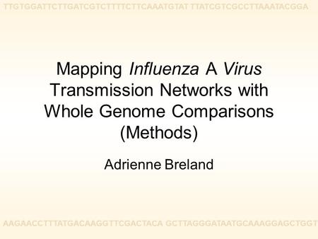 Mapping Influenza A Virus Transmission Networks with Whole Genome Comparisons (Methods)‏ Adrienne Breland TTGTGGATTCTTGATCGTCTTTTCTTCAAATGTAT TTATCGTCGCCTTAAATACGGA.