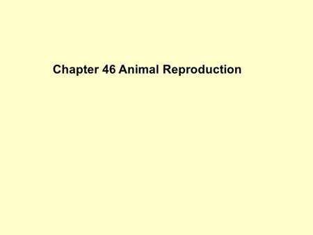 Chapter 46 Animal Reproduction. Overview of sexual reproduction.