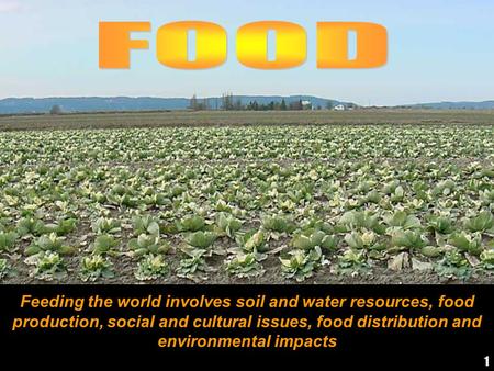 Feeding the world involves soil and water resources, food production, social and cultural issues, food distribution and environmental impacts 1.
