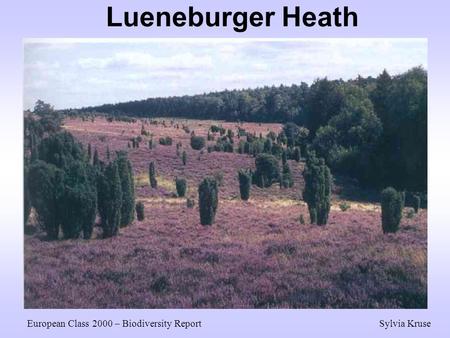 Lueneburger Heath European Class 2000 – Biodiversity Report Sylvia Kruse.