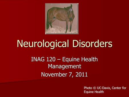 Neurological Disorders INAG 120 – Equine Health Management November 7, 2011 Photo © UC-Davis, Center for Equine Health.