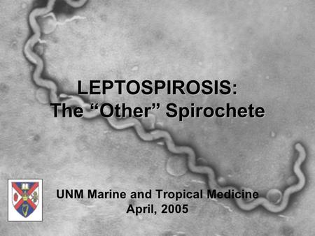 LEPTOSPIROSIS: The “Other” Spirochete UNM Marine and Tropical Medicine April, 2005.