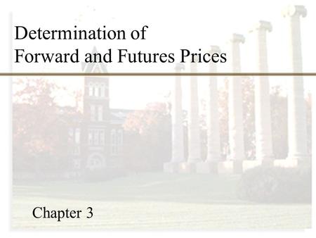 Determination of Forward and Futures Prices Chapter 3.
