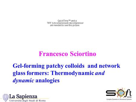 Conference on Nucleation, Aggregation and Growth”, Bangalore January 29-31 2007 Francesco Sciortino Gel-forming patchy colloids and network glass formers: