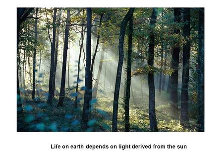 Life on earth depends on light derived from the sun.