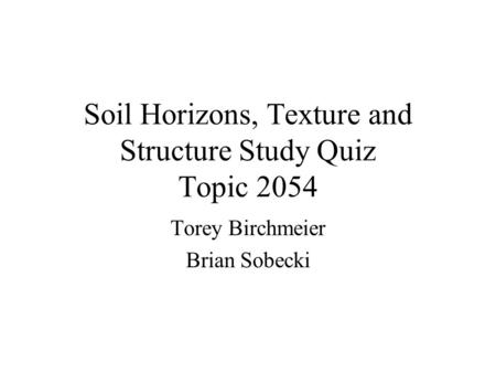 Soil Horizons, Texture and Structure Study Quiz Topic 2054 Torey Birchmeier Brian Sobecki.
