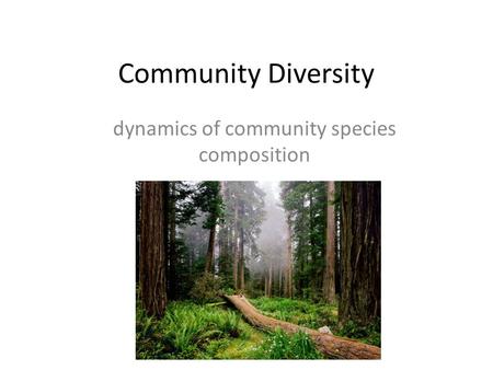 Community Diversity dynamics of community species composition.