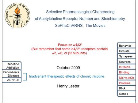 Selective Pharmacological Chaperoning of Acetylcholine Receptor Number and Stoichiometry. SePhaChARNS, The Movies October 2009 Henry Lester Nicotine Addiction.