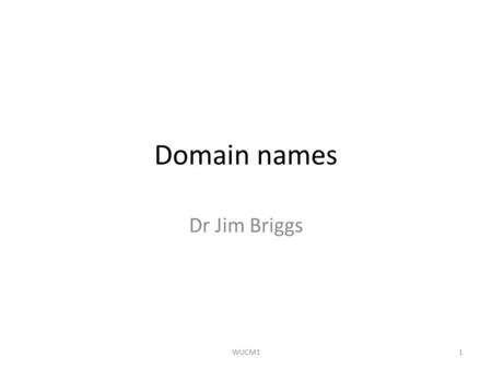 Domain names Dr Jim Briggs WUCM11. FROM THE INTERNET'S PERSPECTIVE WUCM12.