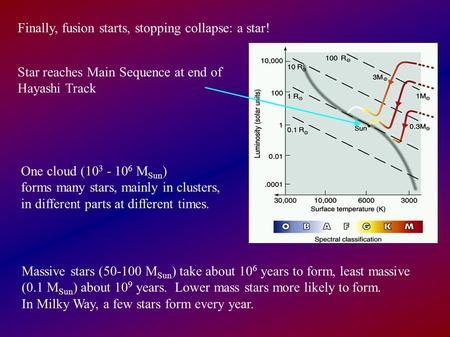 Finally, fusion starts, stopping collapse: a star! Star reaches Main Sequence at end of Hayashi Track One cloud (10 3 - 10 6 M Sun ) forms many stars,