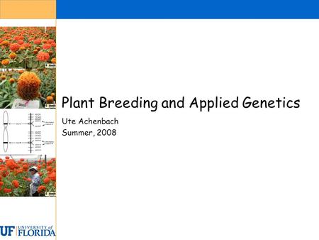Plant Breeding and Applied Genetics Ute Achenbach Summer, 2008.