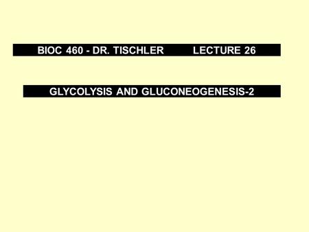 BIOC DR. TISCHLER LECTURE 26 GLYCOLYSIS AND GLUCONEOGENESIS-2