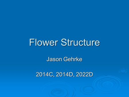 Flower Structure Jason Gehrke 2014C, 2014D, 2022D.
