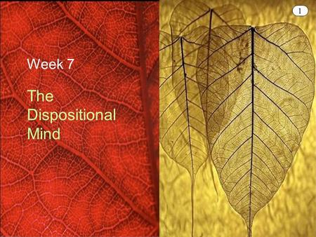 1 Week 7 The Dispositional Mind. 2 Announcements  Quick questions after class  Yasmin Kafai presents: Hard Fun - Digital Games and Learning on Tuesday,