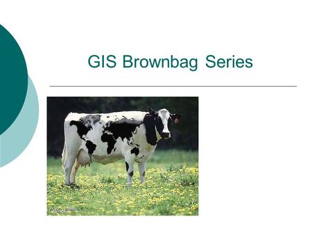 GIS Brownbag Series. What is GIS? Definitions of GIS: “A container of maps in digital form” “A computerized tool for solving geographic problems” “An.