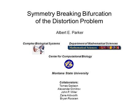 Symmetry Breaking Bifurcation of the Distortion Problem Albert E. Parker Complex Biological Systems Department of Mathematical Sciences Center for Computational.