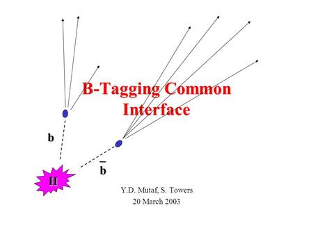 B-Tagging Common Interface Y.D. Mutaf, S. Towers 20 March 2003 H b _b.