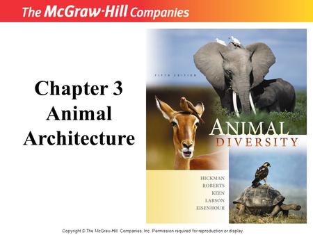 Copyright © The McGraw-Hill Companies, Inc. Permission required for reproduction or display. Chapter 3 Animal Architecture.