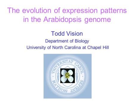 The evolution of expression patterns in the Arabidopsis genome Todd Vision Department of Biology University of North Carolina at Chapel Hill.