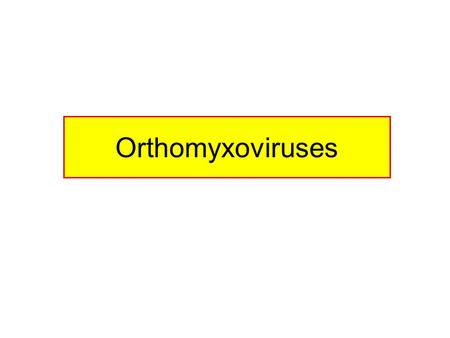 Orthomyxoviruses. Characteristics Name originates from the Greek word ortho (correct), myxo (mucus). Essentially virions infect epithelial cells the right.