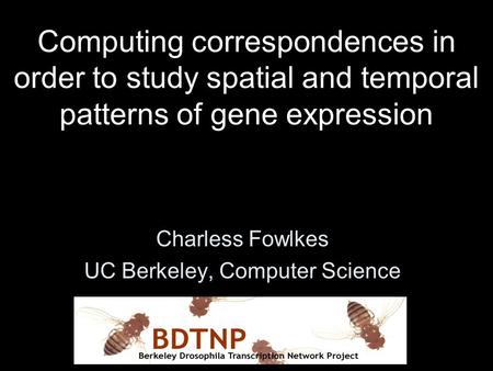 Computing correspondences in order to study spatial and temporal patterns of gene expression Charless Fowlkes UC Berkeley, Computer Science.