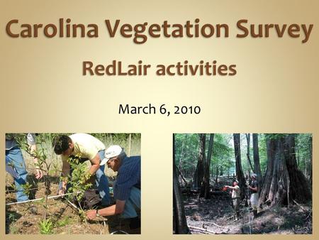 March 6, 2010 RedLair activities. Surveying the best remaining natural vegetation.