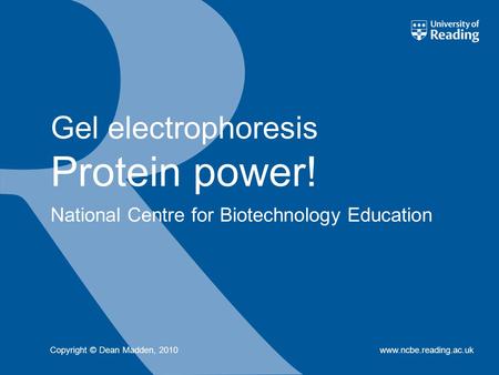 National Centre for Biotechnology Education www.ncbe.reading.ac.uk Gel electrophoresis Protein power! Copyright © Dean Madden, 2010.