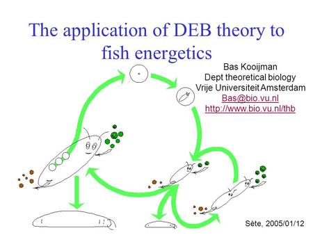 The application of DEB theory to fish energetics Bas Kooijman Dept theoretical biology Vrije Universiteit Amsterdam