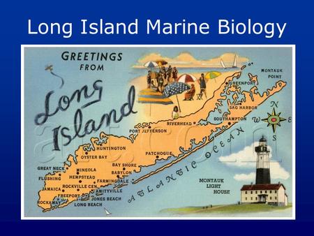Long Island Marine Biology. Long Island Sound / North Shore.