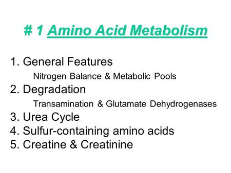# 1 Amino Acid Metabolism 1. General Features Nitrogen Balance & Metabolic Pools 2. Degradation Transamination & Glutamate Dehydrogenases 3. Urea Cycle.