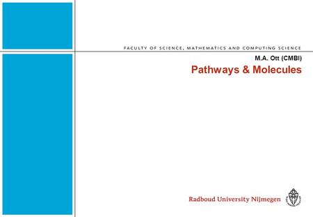 Pathways & Molecules M.A. Ott (CMBI). Contents Pathways and Molecules M.A. Ott Enzymes and Metabolites Metabolic Pathways: Cholesterol Biosynthesis Metabolic.