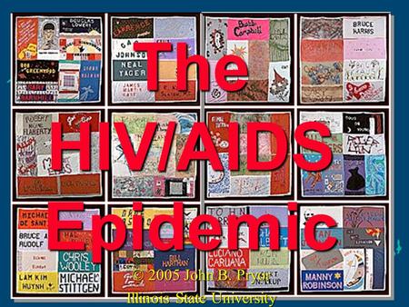 The HIV/AIDS Epidemic © 2005 John B. Pryor Illinois State University.