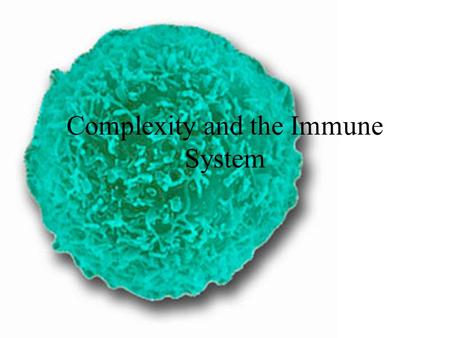 Complexity and the Immune System. Why look at the immune system? -Intermediate level -One of the major information processing systems in the body (with.